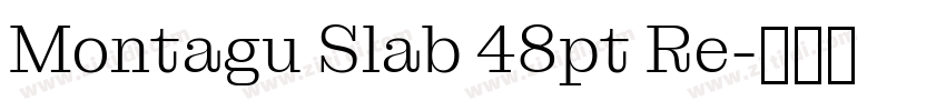 Montagu Slab 48pt Re字体转换